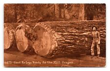 Giant fir logs for sale  Bremerton
