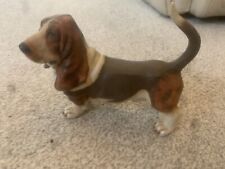 Bassett hound dog for sale  CALNE