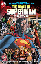 A Morte Do Superman: o Despertar Por Louise Simonson,, usado comprar usado  Enviando para Brazil