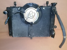 Radiator fan radiatore usato  Dipignano