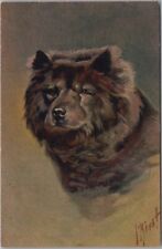 Postal vintage de RAZA DE PERRO ""No. 104 Chow-Chow"" Impreso en Suiza segunda mano  Embacar hacia Argentina