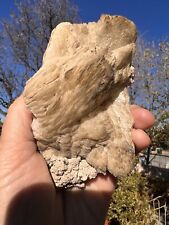 Used, Colmanite /TodorokiteWhite Monster Mine, Death Valley, Inyo County, CA for sale  Shipping to South Africa