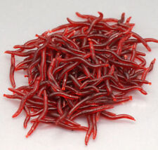 Set 100x verme rosso da terra in silicone Esca per pesca vermi rossi Artificiale comprar usado  Enviando para Brazil