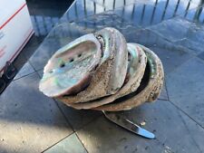 Used, Lot of 4 abalone shells 6"-8" for sale  Shipping to South Africa