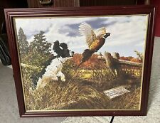 Hunting dog pheasant for sale  Beaverdam