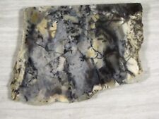 Dendrite opal slab for sale  Buena Park