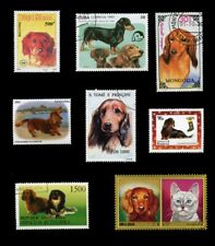 DACHSHUND LONG HAIRED DAXI DOG INTERNATIONAL POSTAGE STAMPS Collection of 8, used for sale  Shipping to South Africa