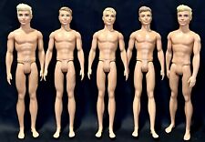 Lote de 5 muñecas Mattel Barbie Ken Desnudo rubia morena 2016 surtido niño masculino segunda mano  Embacar hacia Argentina