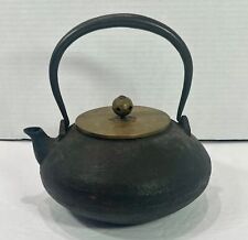 Vintage Japanese Cast Iron Tetsubin Teapot with Copper Tang Lid for sale  Shipping to South Africa