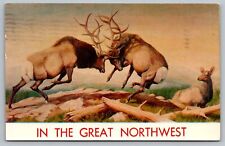 Great northwest elks for sale  Roseville