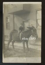 1915 circa. boy for sale  Twin Falls
