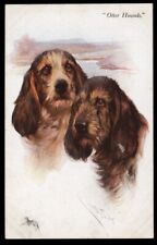 Otterhound dog original for sale  UK