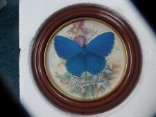 bradford butterfly for sale  Minneapolis