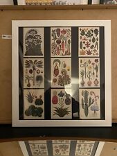 Framed Botanical Postcards Handmade Large Picture 47x51cm for sale  Shipping to South Africa