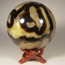 septarian stone for sale  Acworth