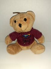 Graduation teddy bear for sale  Lindsborg