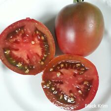 Tomate black krim gebraucht kaufen  Mettenheim