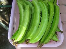 Winged bean seeds for sale  Vista