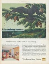 1954 weyerhaeuser timber for sale  Tualatin