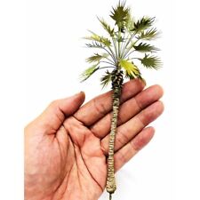 Zucker palme höhe gebraucht kaufen  Teutschenthal