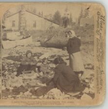 Native Home with Totem Poles & Laundry Pool Alaska Stereoview, used for sale  Shipping to South Africa