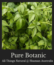 Gynostemma pentaphyllum JIAOGULAN Plant 50mm Pot CHINESE MEDICINAL LONGEVITY TEA for sale  Shipping to South Africa