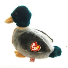 Jake mallard duck for sale  WAKEFIELD