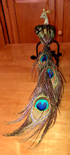 Vintage peacock long for sale  Alto