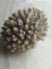 alte koralle gebraucht kaufen  Bad Krozingen