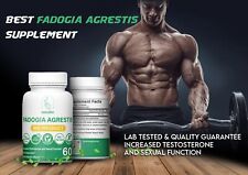 Fadogia agrestis 500mg d'occasion  Limoges-