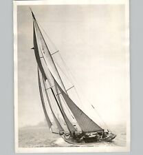 Beautiful racing sailing for sale  Brooklyn