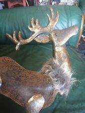 large reindeer for sale  SOUTH MOLTON