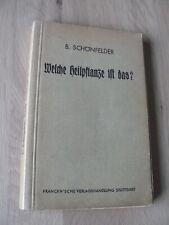 Heilpflanze schonfelder 1941 gebraucht kaufen  Versand nach Germany