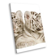 White tiger cub for sale  STRABANE