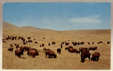 Buffalo roam range for sale  Elverson