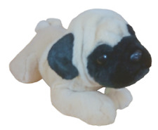 Pug puppy dog for sale  Jacksonville