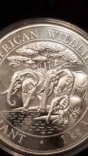 Somalia elefant elephant gebraucht kaufen  Wittlich