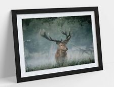 Majestic stag wall for sale  LONDONDERRY