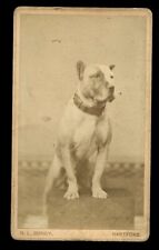 Dog antique cdv for sale  Fisherville