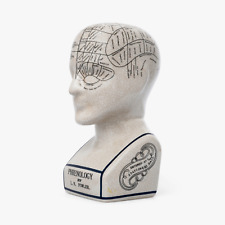 Phrenology head l.n for sale  Shipping to Ireland