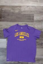 camisa masculina Nike NBA roxa extra grande dri fit "Los Angeles" Lakers comprar usado  Enviando para Brazil