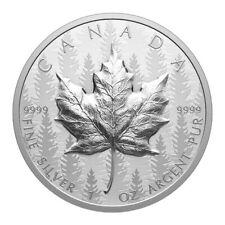 Usado, ¡NUEVO! Moneda de plata Canadá 2024 20$ HOJA DE ARCE bosque SML ultra alto relieve 1 oz segunda mano  Embacar hacia Argentina