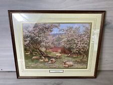 Apple Blossom By W B Gardner Large Framed Print, Vintage  Frame 53.5x43.5 Cm, used for sale  Shipping to South Africa