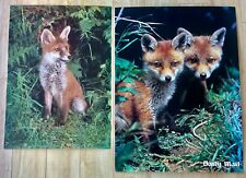 Vintage fox cub for sale  UK