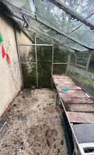 Lean greenhouse dismantled for sale  STROUD