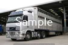 FOTOS DE CAMINHÃO Volvo FH12 L Buxton & Sons Livestock comprar usado  Enviando para Brazil