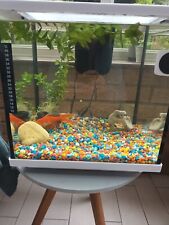 Aquarium fish tank for sale  LIVERPOOL