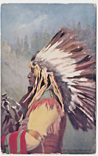 Chief yellow thunder for sale  New Windsor