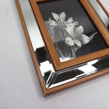 Mirror frame wood for sale  Chillicothe