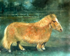 Pet pony original for sale  Endicott
